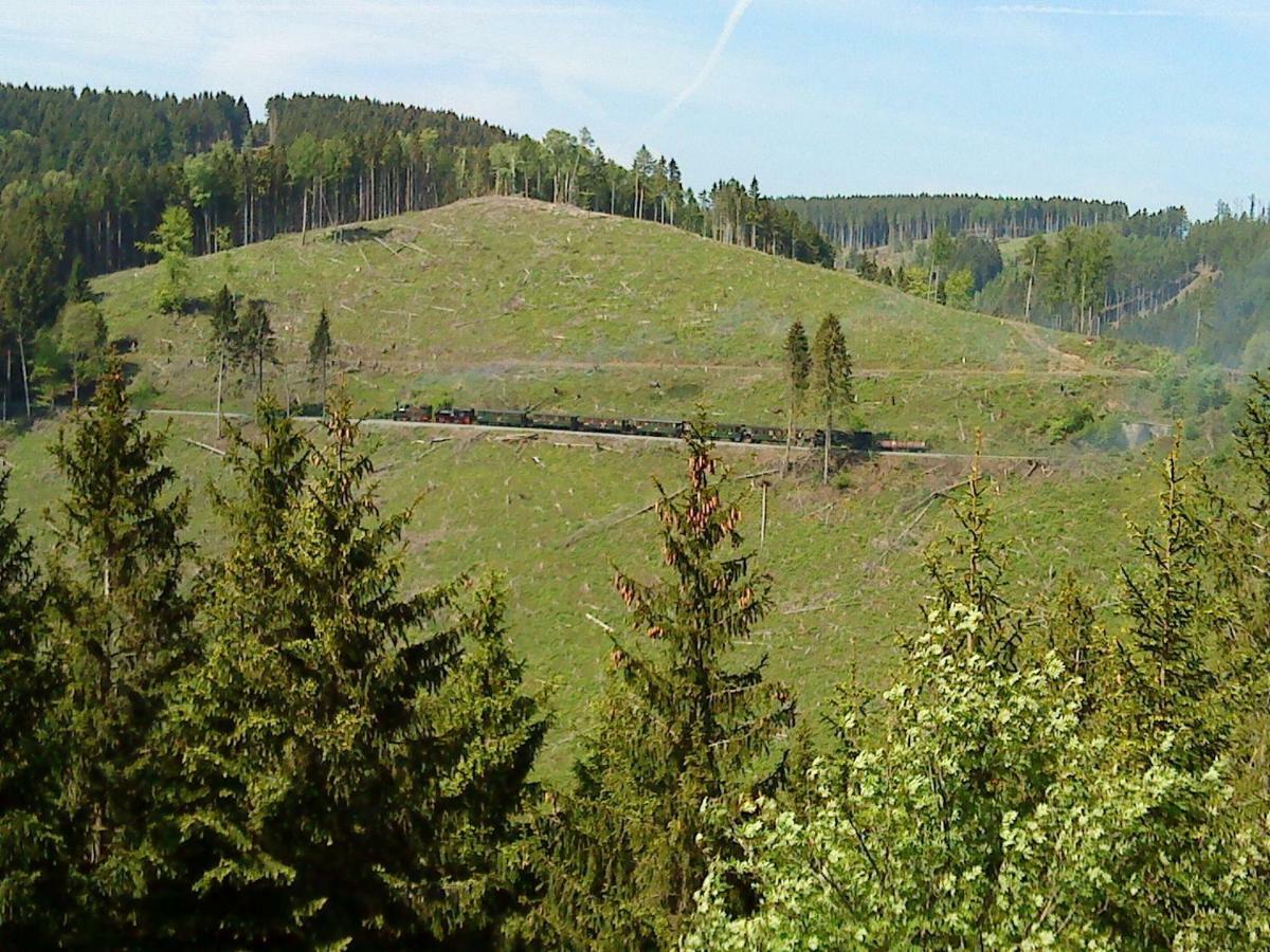Ferienhaus Am Westerntor I Wernigerode Eksteriør bilde