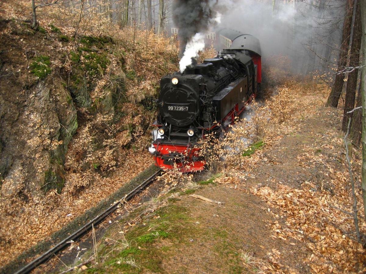 Ferienhaus Am Westerntor I Wernigerode Eksteriør bilde